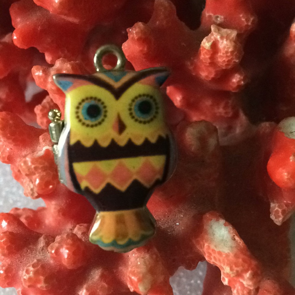 Enamel owl locket pendent